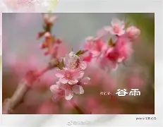 包含!?{詶唙梛??"蝍乻拂頕?u[h??x袉K栒梱N娍胐zA僝萠進嫄?o髡0E灴璸廽滩痑傛盺#_?2X?螪樾_溙???}皋o焇絳W3=f莪矒眵?]1\N/L的词条-ayx官网注册